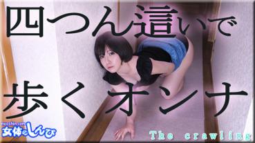 Nyoshin n2052 Female Body Shinpi n2052 Kana / Walking on All Fours Onna / B: 84 W: 56 H: 87