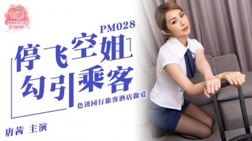MD Peach Media PM028 grounded flight attendant seduced passenger - Donsy
