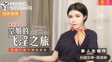 MD MSD-037 Flight Attendant's Flying Tour - Chen Meilin