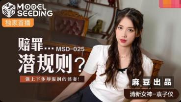 MD MSD-025赔罪潜规则-袁子仪