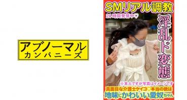 SEXとチ○ポとザーメンの事だけを考えている家畜人ケイコ 世界一幸せなオ○ンコ牝の記録