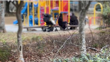 FC2 PPV 4821039 【個人】***jjjxyoq*y **友とお〇さんと公園で遊んでいた自称インフルエンサーの奥さんを連れ出し車の中で...～12月31日特典削除