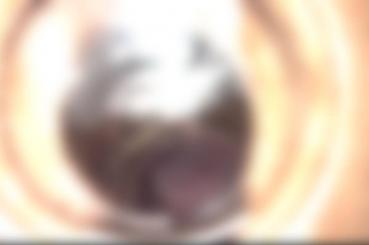 FC2 PPV 4837105 60% OFF! *60% OFF for the first time until the 30th *[Individual shooting]***o*pjxnz*n while putting it in with a standing back that I wanted to try